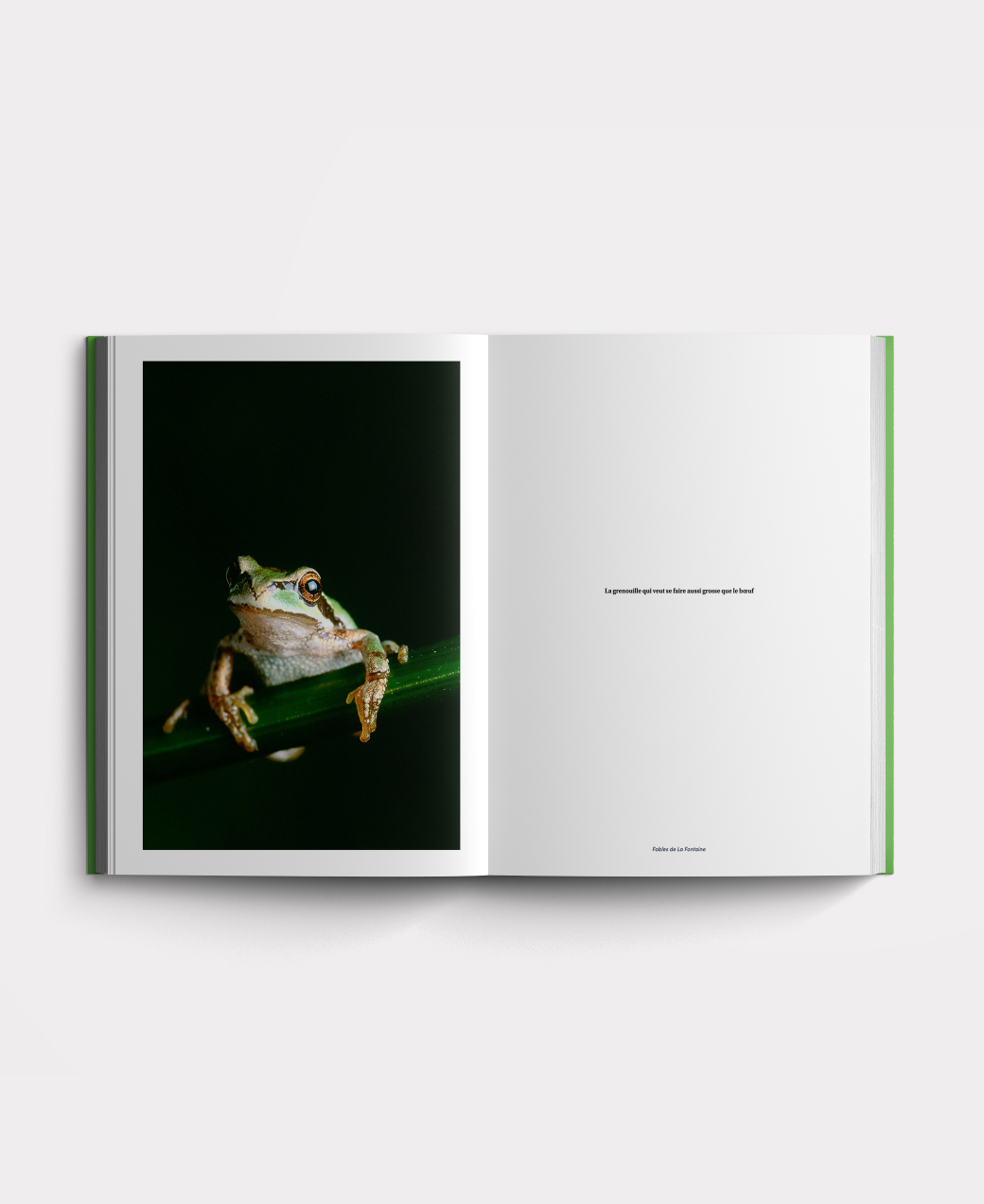 Book photo beginners eight