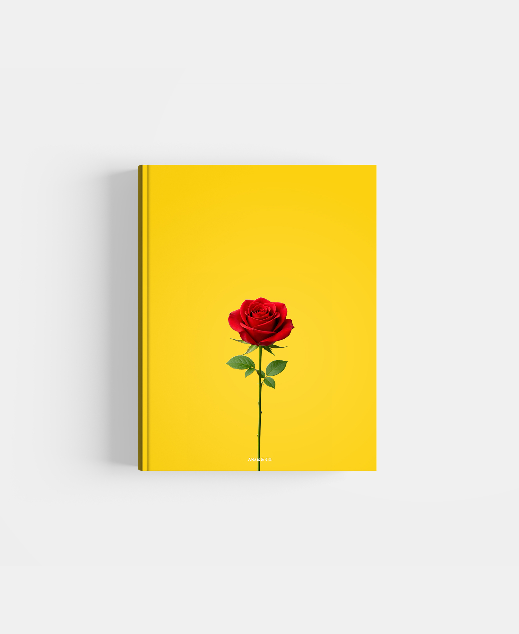 Book photo beginners five
