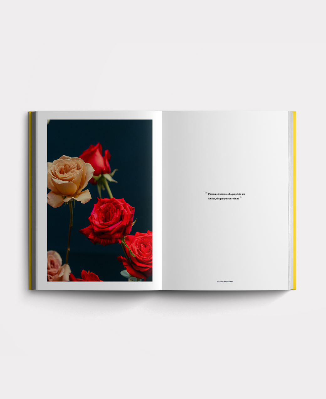Book photo beginners five