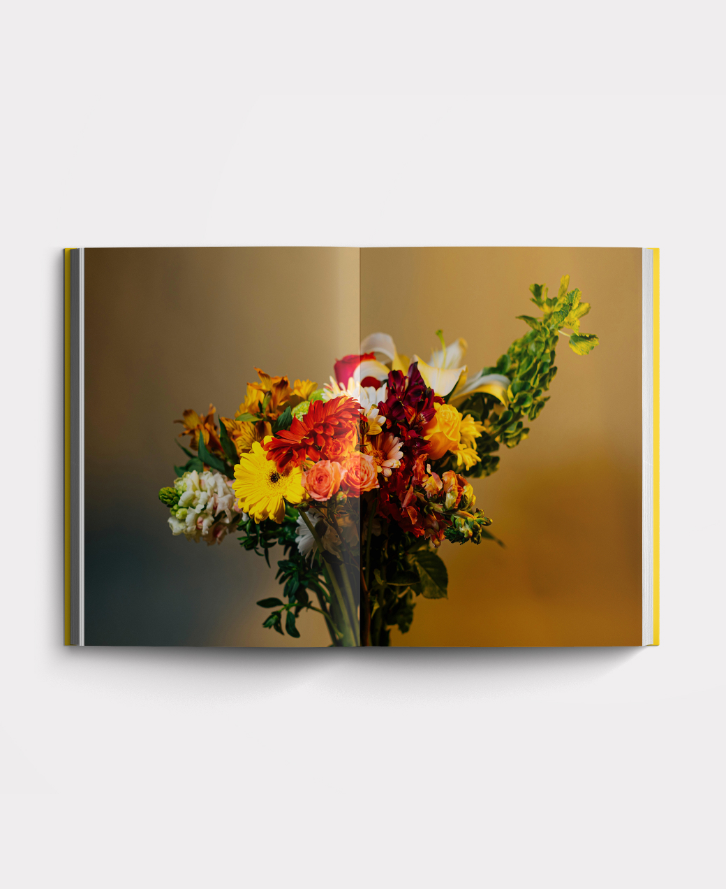 Book photo beginners five
