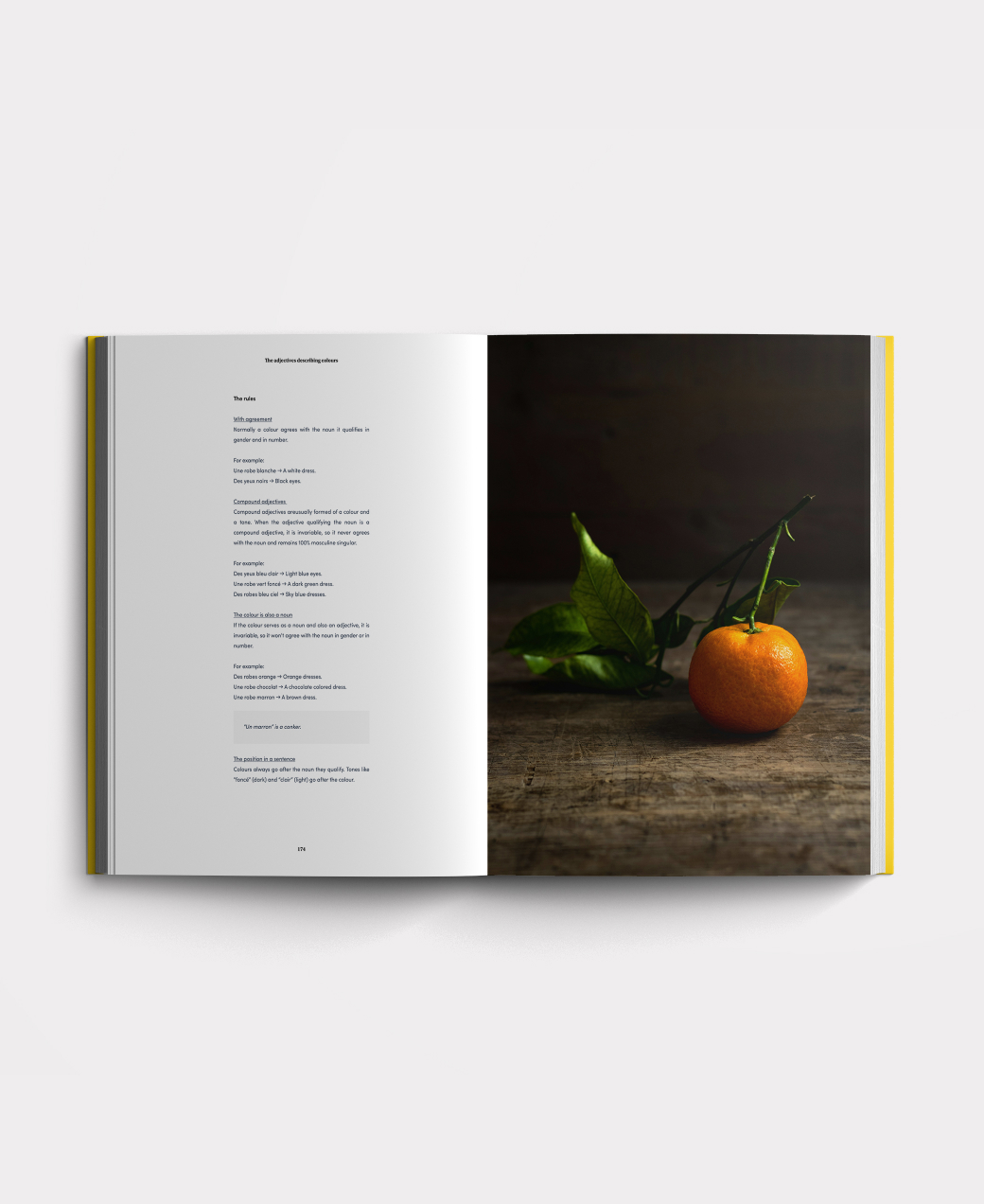 Book photo beginners five