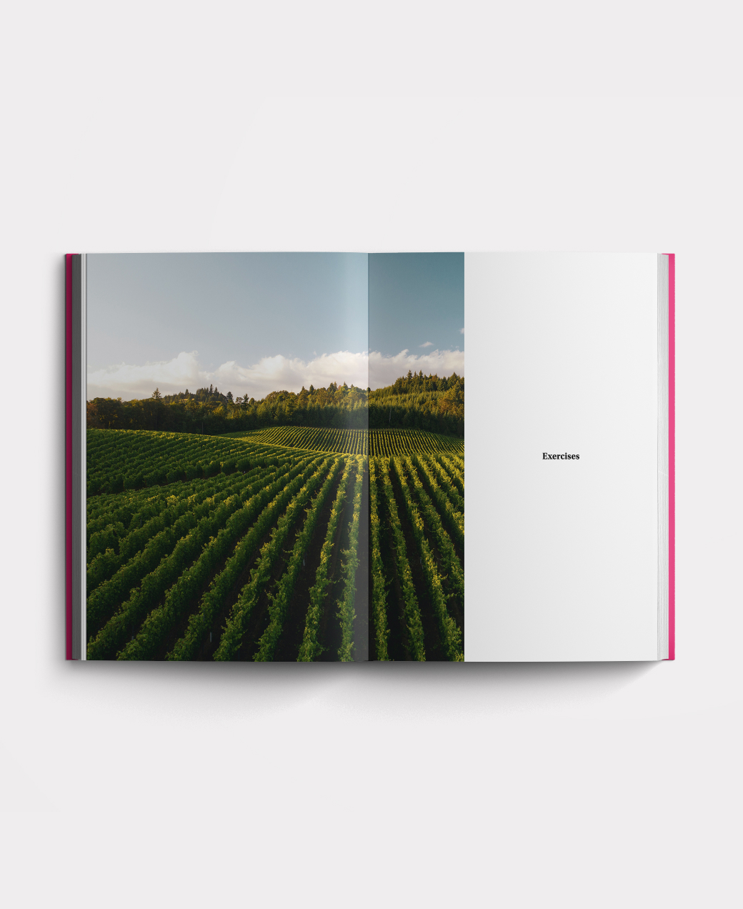 Book photo beginners four