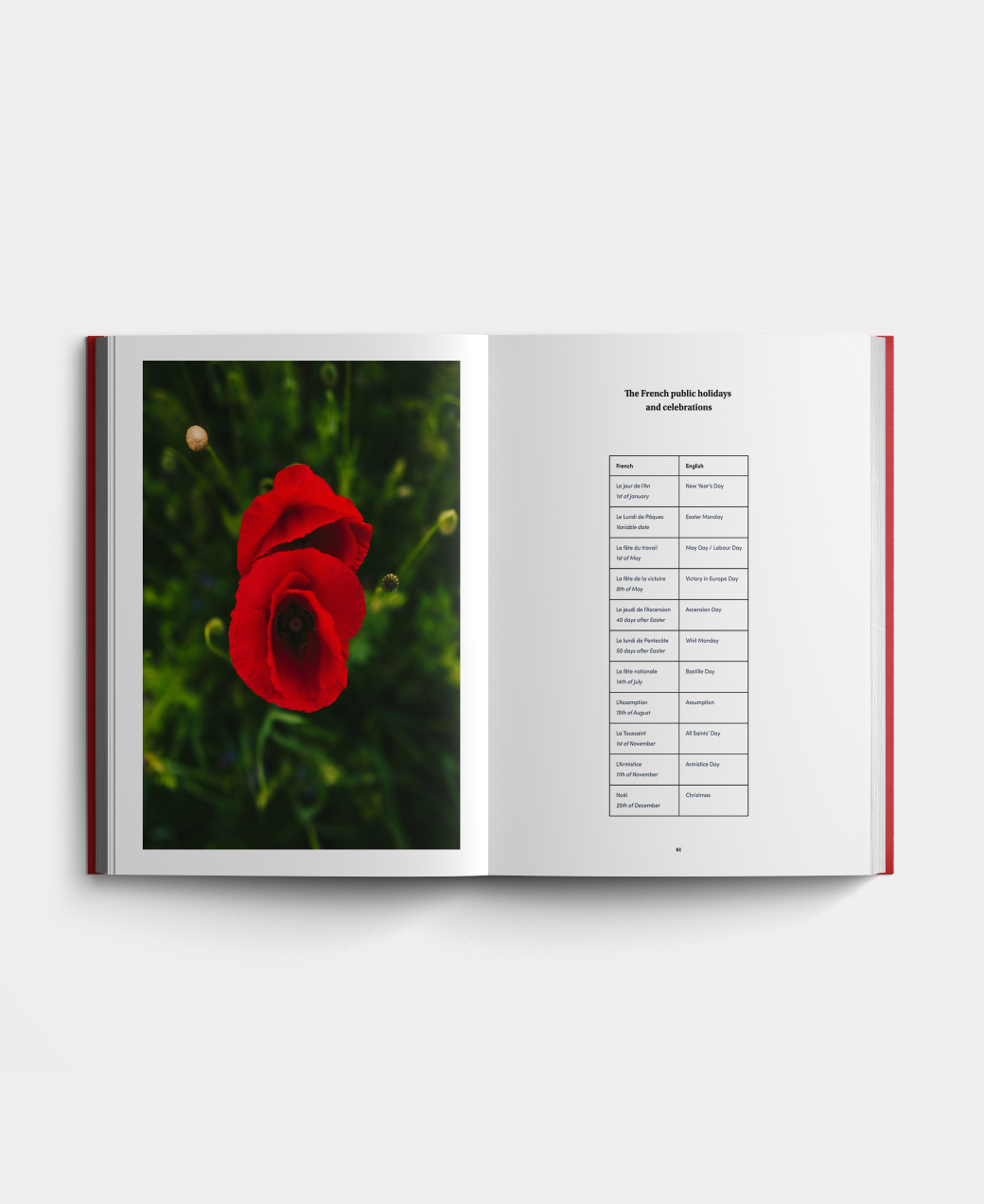 Book photo beginners nine