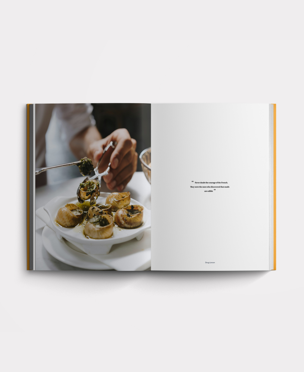 Book photo beginners one