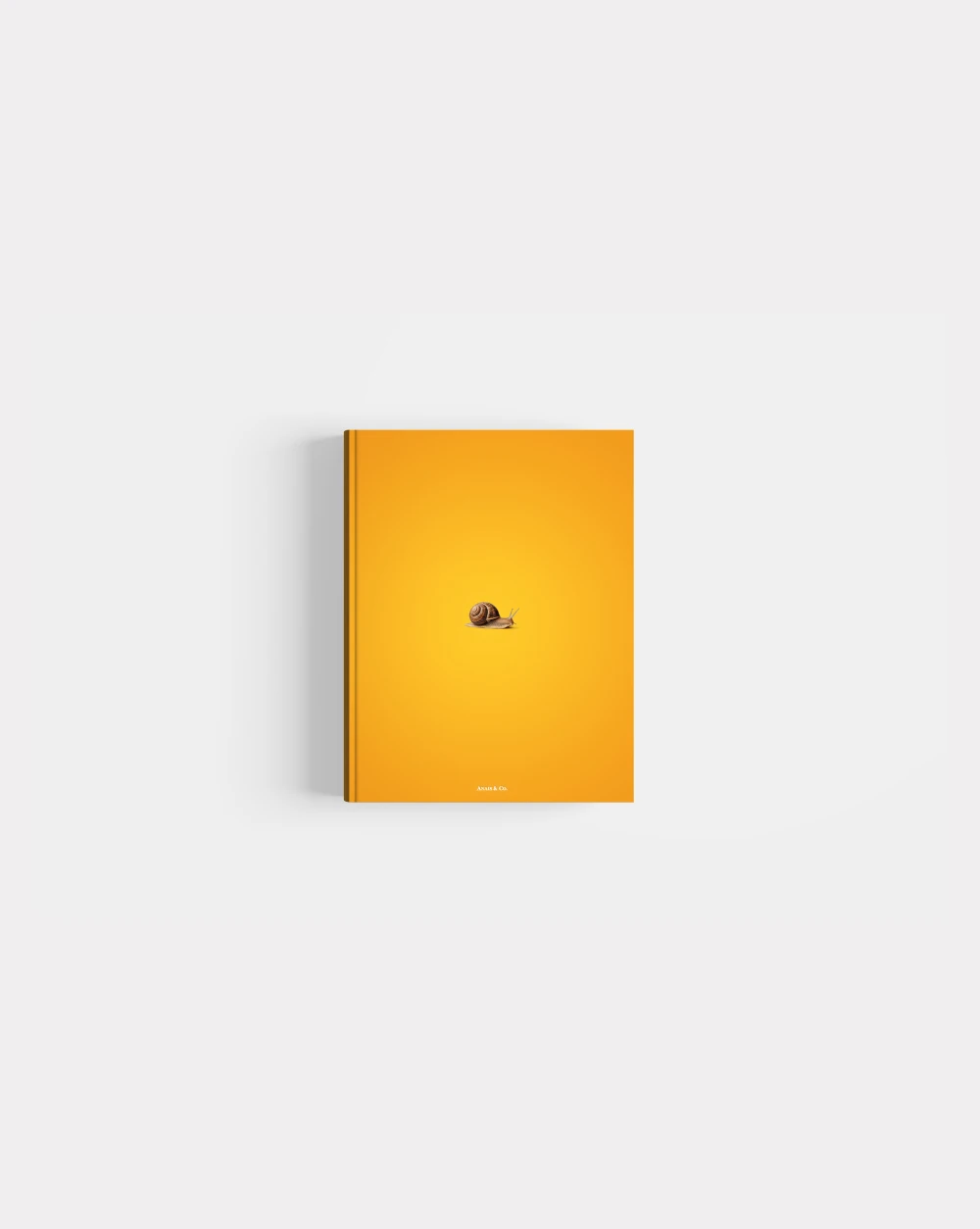 Book photo beginners one