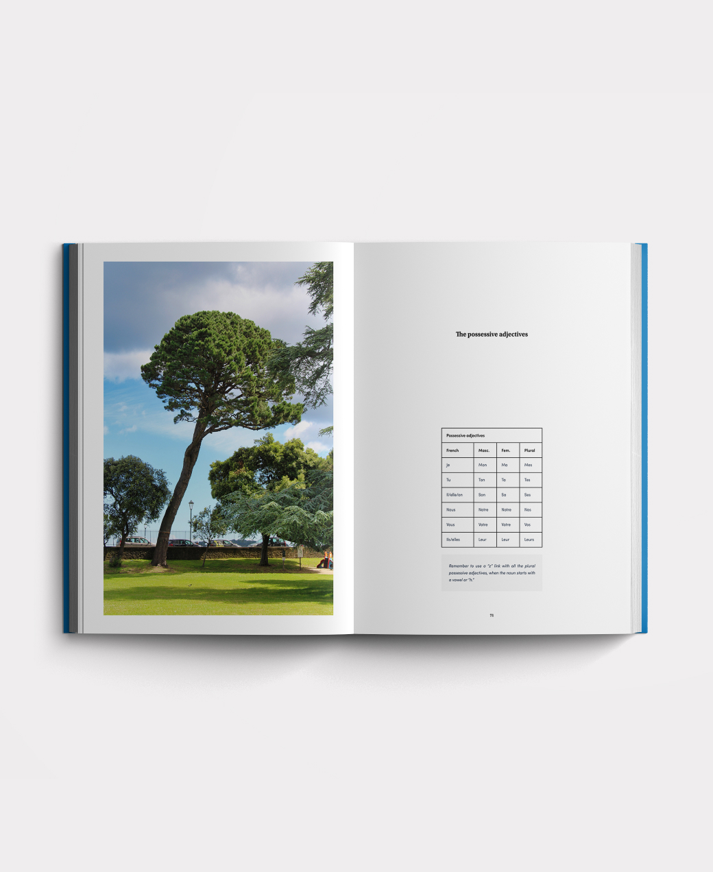 Book photo beginners two