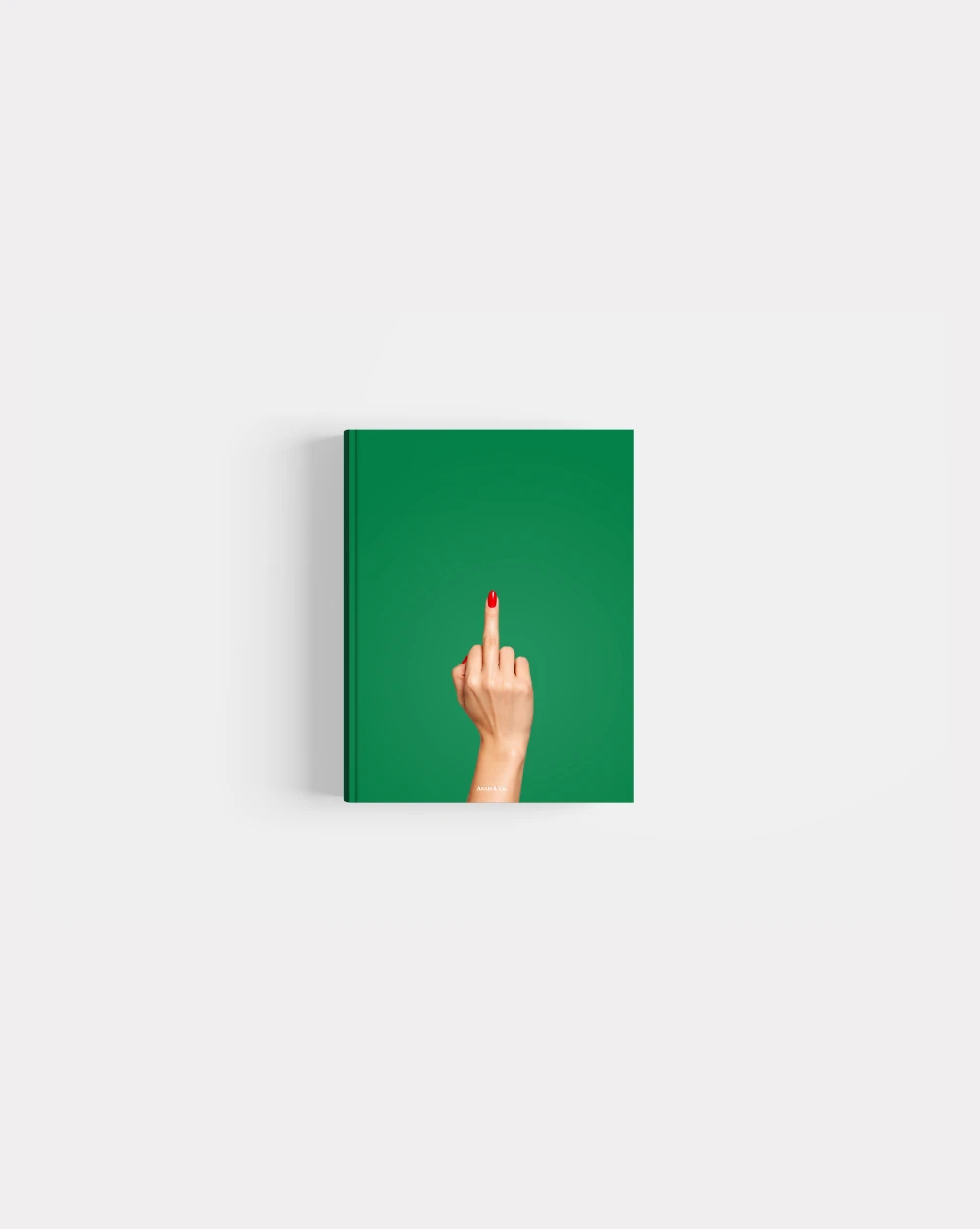 Book photo beginners twelve