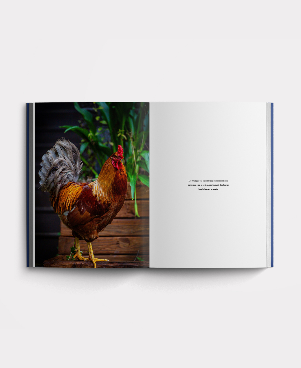 Book photo beginners two
