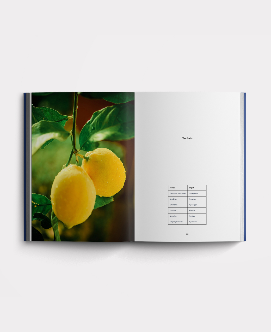 Book photo beginners two